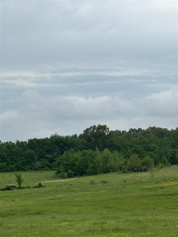 0 County Road 249, Bloomfield, MO 63825 - photo 3