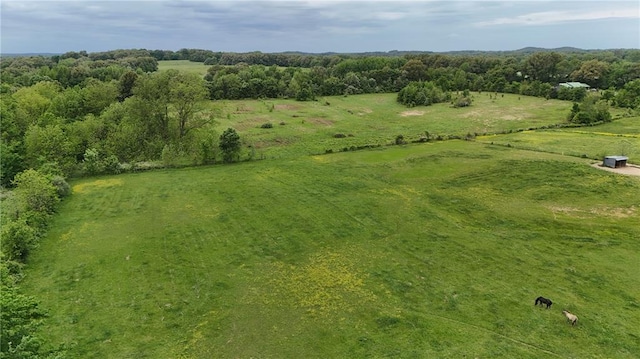 0 County Road 249, Bloomfield, MO 63825 - photo 4