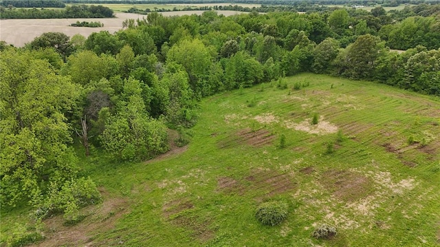 0 County Road 249, Bloomfield, MO 63825 - photo 8
