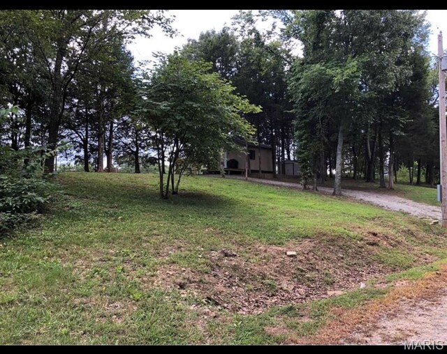 7012 Locust, Saint Genevieve, MO 63670 - photo 22