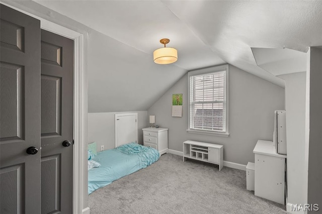 531 Goethe Ave, Saint Louis, MO 63122 - photo 19