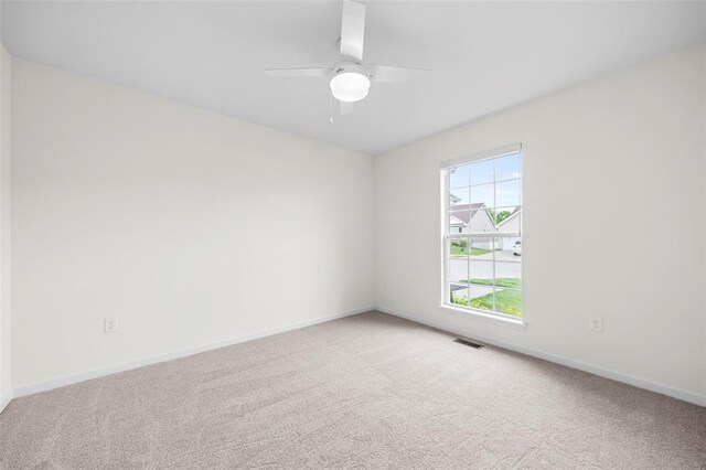124 Prairie Wind Dr, Wentzville, MO 63385 - photo 12