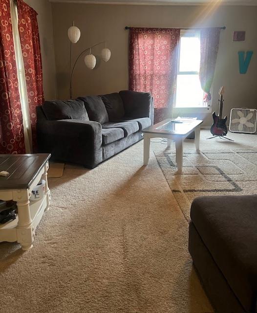 712 Vine, Doniphan, MO 63935 - photo 3