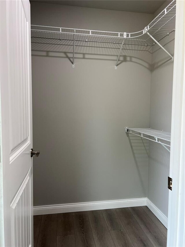 10 Jaybird Ct, Montgomery City, MO 63361 - walk in closet featuring dark wood-style floors