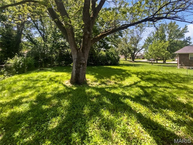 2540 Courtyard Pl, Florissant, MO 63031 - view of green lawn