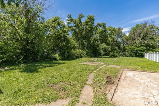 506 Dix Ave, Park Hills, MO 63601 - photo 24