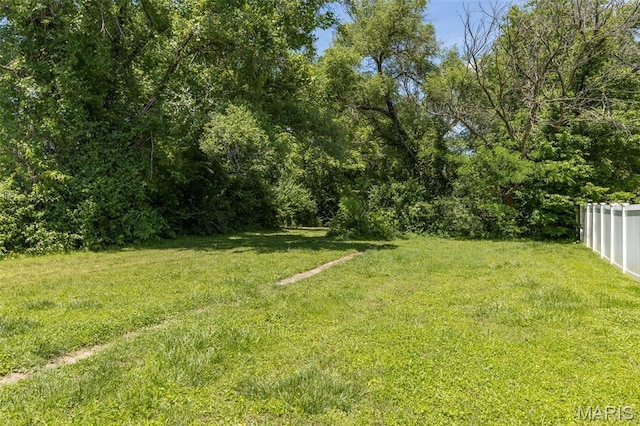 506 Dix Ave, Park Hills, MO 63601 - photo 26
