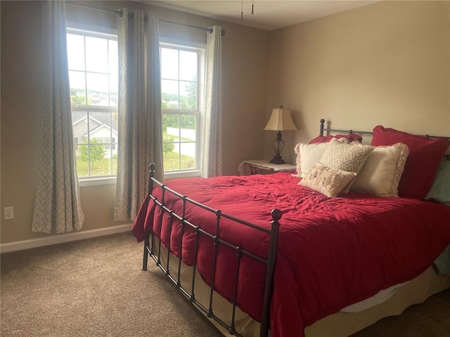 835 Bay Hill Blvd, Union, MO 63084 - bedroom featuring carpet floors, multiple windows, and baseboards