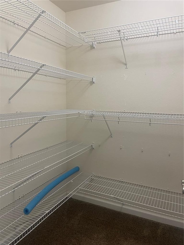 835 Bay Hill Blvd, Union, MO 63084 - view of pantry