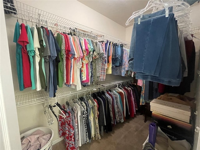 835 Bay Hill Blvd, Union, MO 63084 - spacious closet with carpet flooring