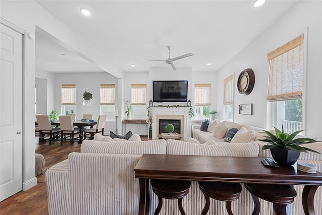 1017 Kilderkin Way, Saint Charles, MO 63301 - living area with healthy amount of natural light, ceiling fan, dark wood-type flooring, and recessed lighting