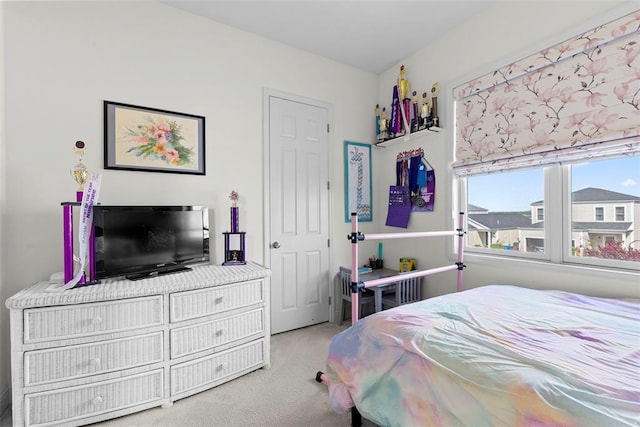 1017 Kilderkin Way, Saint Charles, MO 63301 - view of carpeted bedroom