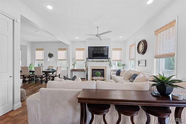 1017 Kilderkin Way, Saint Charles, MO 63301 - living area featuring plenty of natural light, a ceiling fan, dark wood-style flooring, and recessed lighting