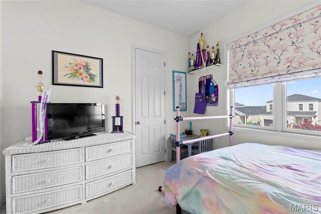 1017 Kilderkin Way, Saint Charles, MO 63301 - view of carpeted bedroom