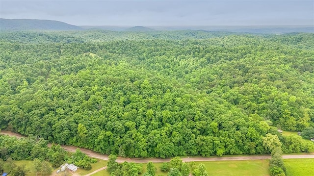 0 Cc Hwy, Piedmont, MO 63957 - photo 1