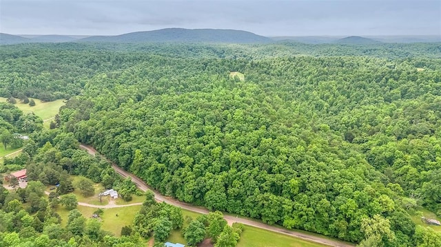 0 Cc Hwy, Piedmont, MO 63957 - photo 2