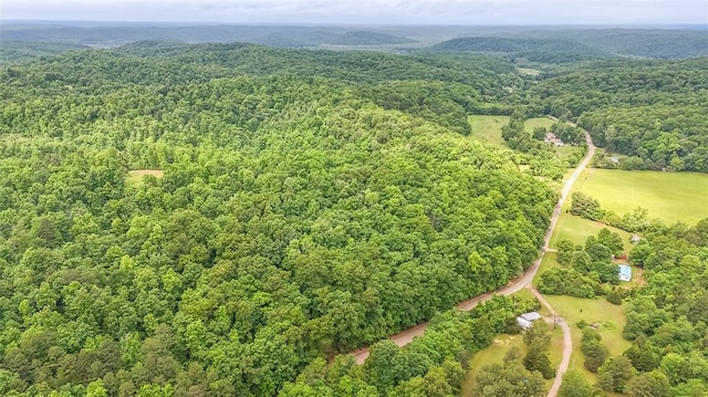 0 Cc Hwy, Piedmont, MO 63957 - photo 3