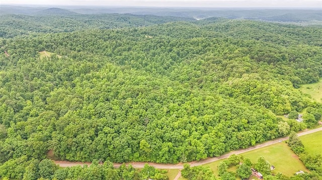 0 Cc Hwy, Piedmont, MO 63957 - photo 4