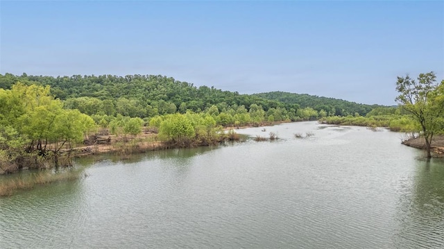 0 Cc Hwy, Piedmont, MO 63957 - photo 8