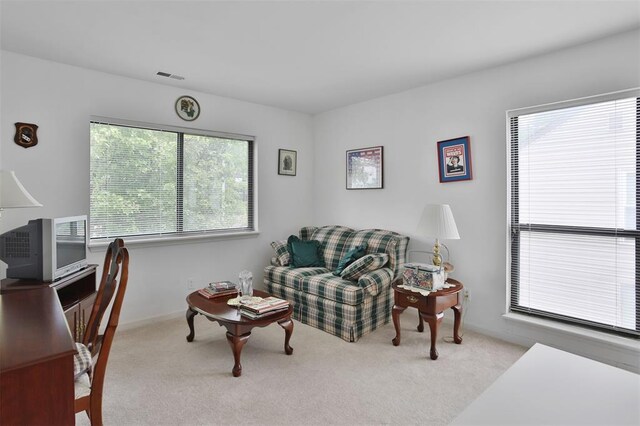 1306 Glendale Gardens Dr Unit C, Glendale, MO 63122 - living area with carpet flooring