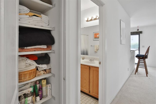 1306 Glendale Gardens Dr Unit C, Glendale, MO 63122 - closet with a sink