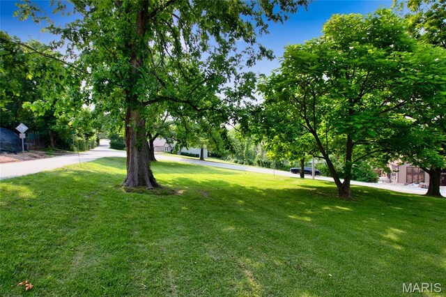 2915 Ozark Dr, Queeny Township, MO 63122 - view of green lawn