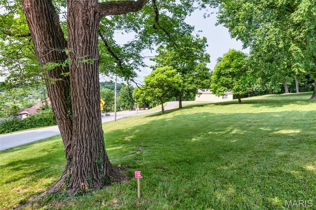2915 Ozark Dr, Queeny Township, MO 63122 - view of grassy yard