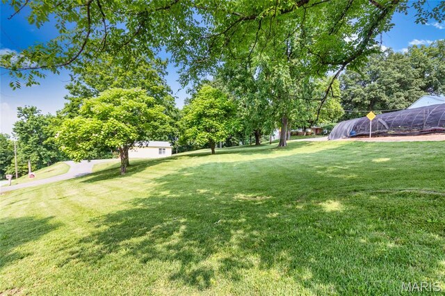 2915 Ozark Dr, Queeny Township, MO 63122 - view of green lawn featuring view of scattered trees