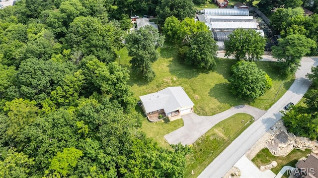 2915 Ozark Dr, Queeny Township, MO 63122 - aerial view