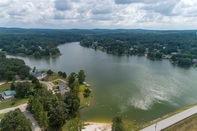14135 Oak Dr, De Soto, MO 63020 - aerial view of a large body of water and a forest