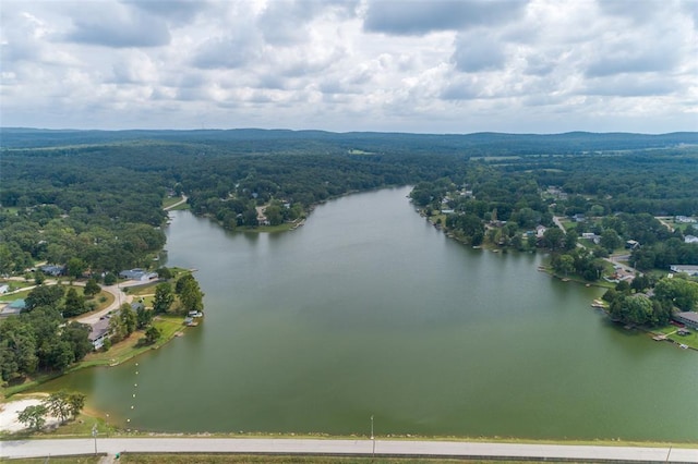 14135 Oak Dr, De Soto, MO 63020 - aerial view of property and surrounding area with a forest and a large body of water