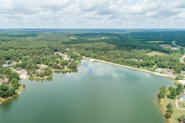 14135 Oak Dr, De Soto, MO 63020 - aerial view of a forest and a nearby body of water