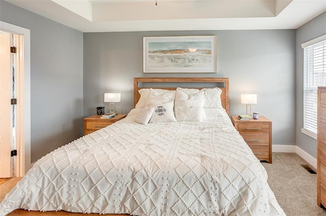 223 Ellington Ct, Glen Carbon, IL 62034 - bedroom featuring carpet flooring, a raised ceiling, and baseboards