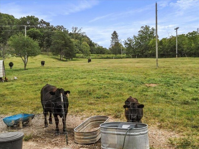 8495 M- Hwy N, Mountain Grove, MO 65711