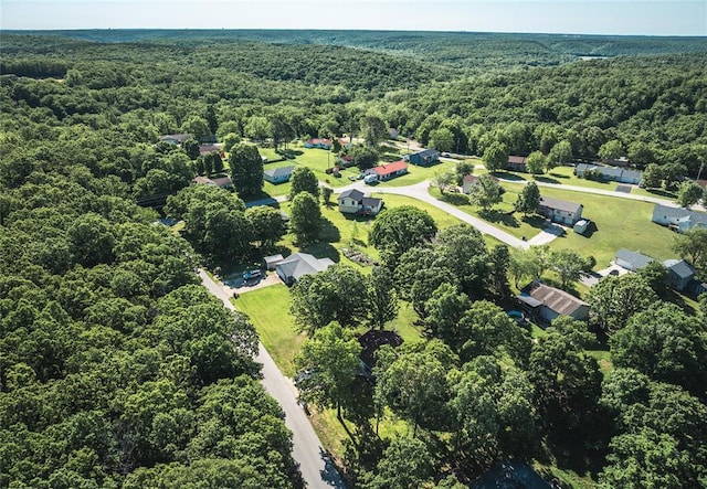 20336 Scholar Ln, Waynesville, MO 65583 - view of property location featuring a forest