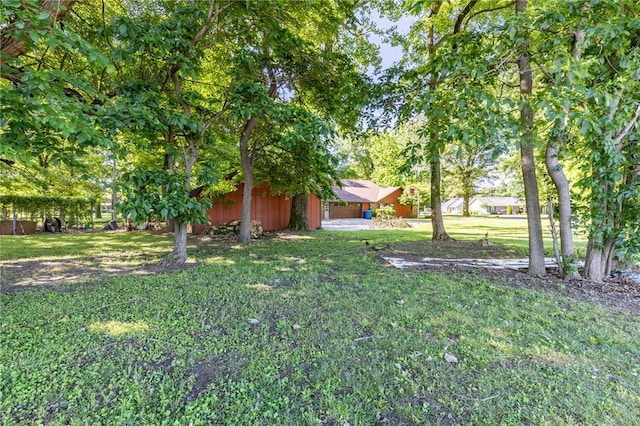 22 Greenbriar Dr, New Madrid, MO 63869 - view of green lawn