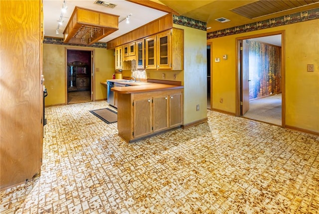 22 Greenbriar Dr, New Madrid, MO 63869 - kitchen featuring rail lighting, glass insert cabinets, baseboards, light countertops, and a peninsula
