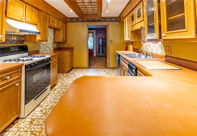 22 Greenbriar Dr, New Madrid, MO 63869 - kitchen featuring white gas stove, under cabinet range hood, a sink, rail lighting, and tasteful backsplash
