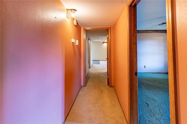 22 Greenbriar Dr, New Madrid, MO 63869 - corridor with light carpet