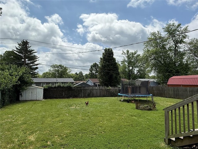 7729 Humbert Rd, Godfrey, IL 62035 - view of yard with a trampoline