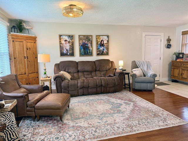 11181 Shady Ln, Dexter, MO 63841 - living area with wood finished floors, a textured ceiling, and plenty of natural light