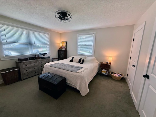 11181 Shady Ln, Dexter, MO 63841 - bedroom with dark colored carpet and a textured ceiling