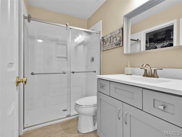 1165 Nooning Tree Dr, Chesterfield, MO 63017 - bathroom with vanity, a shower stall, and toilet