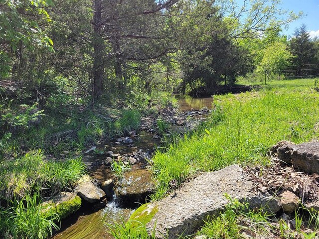 0 Red Barn Rd, Grovespring, MO 65662 - photo 8