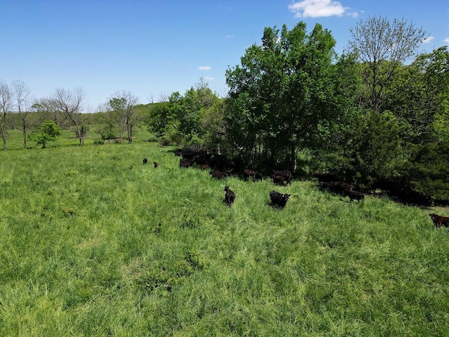0 Red Barn Rd, Grovespring, MO 65662 - photo 27