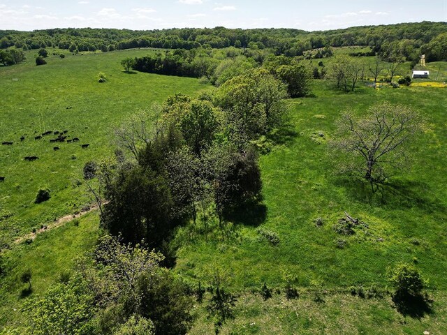 0 Red Barn Rd, Grovespring, MO 65662 - photo 34