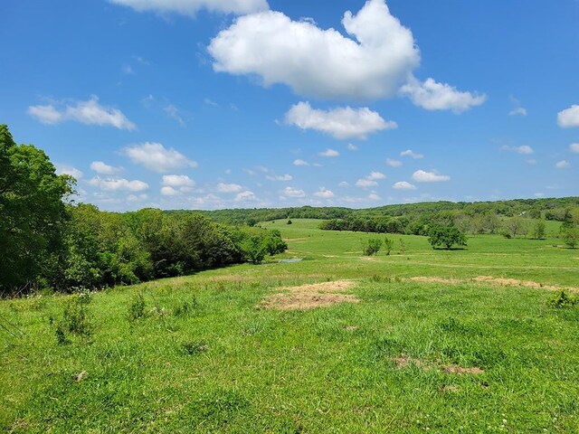 0 Red Barn Rd, Grovespring, MO 65662 - photo 43