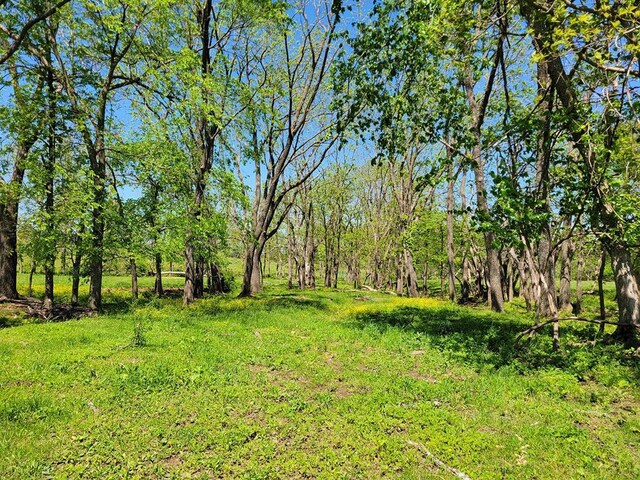 0 Red Barn Rd, Grovespring, MO 65662 - photo 47