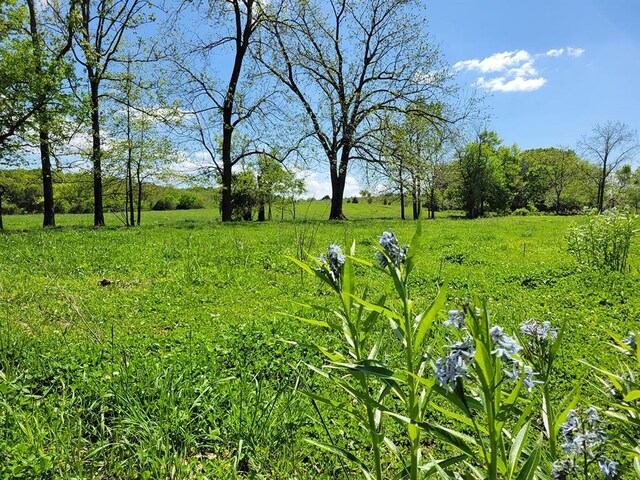 0 Red Barn Rd, Grovespring, MO 65662 - photo 48