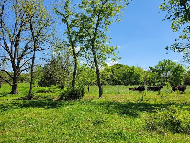 0 Red Barn Rd, Grovespring, MO 65662 - photo 49